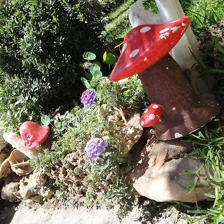 Amaryllis Lägenhet *