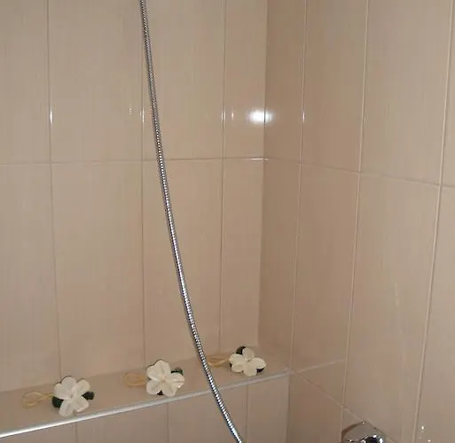 Amaryllis 艾斯普罗瓦塔